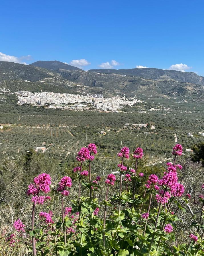 La Vie En Rose Mattinata Διαμέρισμα Εξωτερικό φωτογραφία