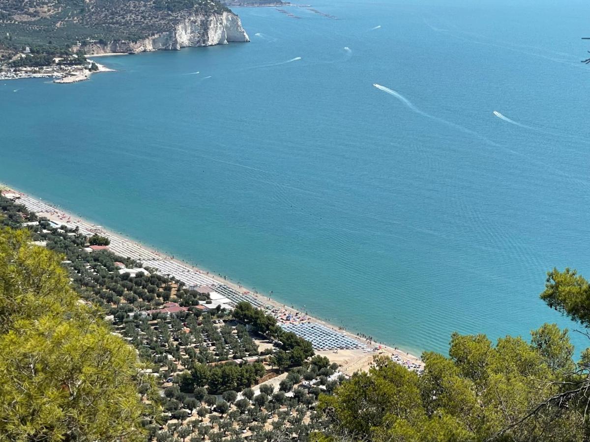 La Vie En Rose Mattinata Διαμέρισμα Εξωτερικό φωτογραφία